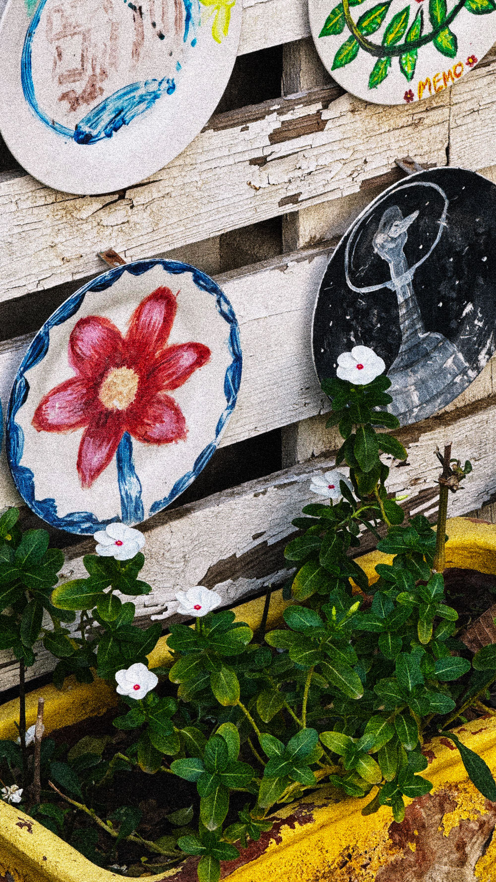 abu-dhabi-art-house-cafe_closeup-of-painted-plates-and-flowers-in-the-garden_fwrto_28-04-2026
