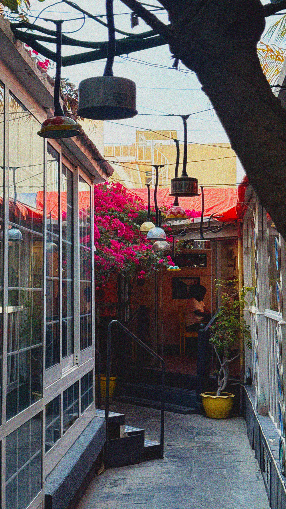 abu-dhabi-art-house-cafe_colorful-alley-near-art-gallery_fwrto_28-04-2026