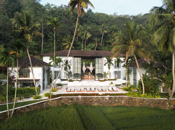 Beyond Wellness
