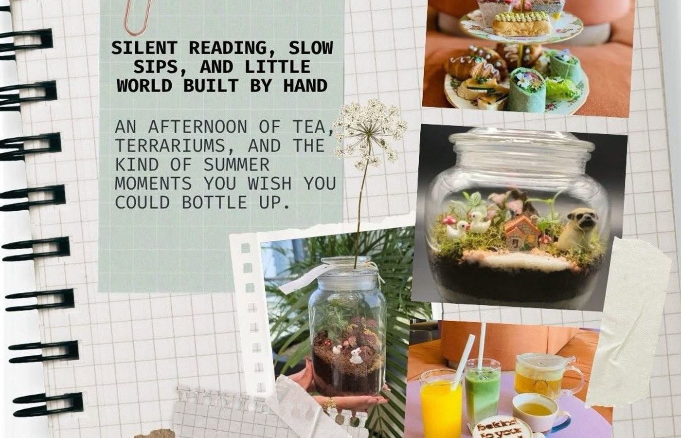 Silent Reading, Tea & Closed Terrarium Workshop